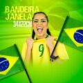 Bandeira Janela Brasil para Carros